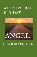 ANGEL: NEVER NOVEL FOUR: B0DSPZ2PPK Book Cover