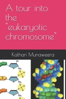 A tour into the "eukaryotic chromosome" B08VCN6H1G Book Cover