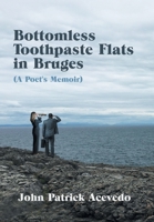 Bottomless Toothpaste Flats in Bruges (a Poet's Memoir) 1664127127 Book Cover