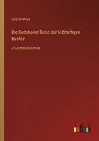 Die Karlsbader Reise der leibhaftigen Bosheit: in Grodruckschrift 3368474383 Book Cover