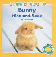 Bunny Hide-and-Seek 1607270927 Book Cover