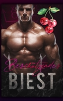 Beschützendes Biest (German Edition) B0CRGSGRJZ Book Cover