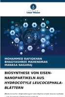Biosynthese Von Eisen-Nanopartikeln Aus Hydrocotyle Leucocephala-Blättern (German Edition) 6208034930 Book Cover
