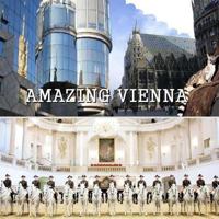 Amazing Vienna 1500278645 Book Cover