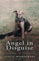 Angel in Disguise 1973656310 Book Cover