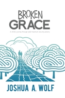 Broken Grace: A Child's Journey Through Adult Maximum Security Prisons 1637513755 Book Cover