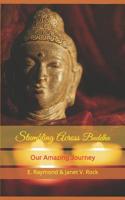STUMBLING ACROSS BUDDHA: Our Amazing Journey 1718046103 Book Cover