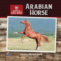 Arabian Horse 168020565X Book Cover