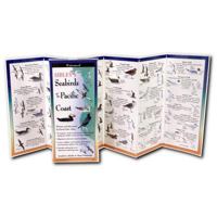 Earth Sky + Water FoldingGuide™ - Sibley’s Seabirds of the Pacific Coast - 10 Panel Foldable Laminated Nature Identification Guide 1621262324 Book Cover