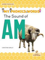 The Sound of AM 1039695361 Book Cover