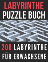 Labyrinthbuch Für Erwachsene: 200 Labyrinthe Für Teenager, Erwachsene Und Senioren B0BBXT2TFN Book Cover