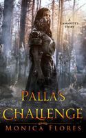 Palla's Challenge (A Lamanite's Story) 0578347156 Book Cover