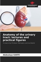 Anatomy of the urinary tract: lectures and practical figures 6209395058 Book Cover