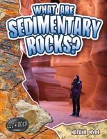 What Are Sedimentary Rocks? 0778772357 Book Cover