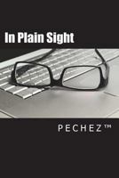 In Plain Sight 1720409021 Book Cover
