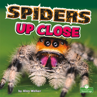 Spiders Up Close )Backyard Science) 1039646565 Book Cover