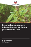 Brevipalpus phoenicis Infestation sur Ocimum gratissimum Linn (French Edition) 6208664829 Book Cover