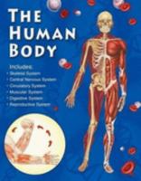 Guía ilustrada del cuerpo humano (Guía Ilustrada Cuerpo Humano) 1741784697 Book Cover