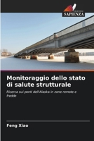 Monitoraggio dello stato di salute strutturale (Italian Edition) 6139701619 Book Cover
