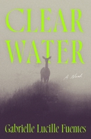 Clear Water: A Novel 1250389771 Book Cover