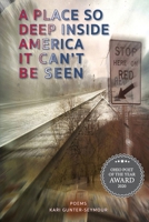 A Place So Deep Inside America It Can't Be Seen 1732940681 Book Cover