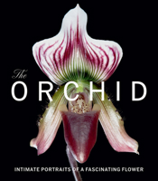 Orchid : Intimate Portraits of a Fascinating Flower 1785516515 Book Cover