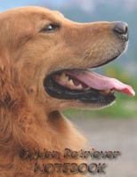 Golden Retriever NOTEBOOK: Dog Notebooks and Journals 110 pages (8.5x11) 1660525810 Book Cover