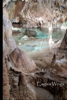 Eagle's Wings 1703393031 Book Cover