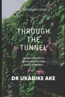 THROUGH THE TUNNEL: HELPING START-UPS SURVIVE AND GROW FROM HUMBLE BEGINNINGS B08FV64HKJ Book Cover