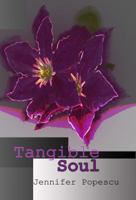 Tangible Soul 0982858728 Book Cover