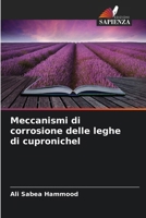 Meccanismi di corrosione delle leghe di cupronichel (Italian Edition) 620998312X Book Cover