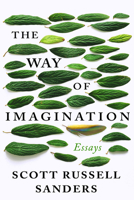 The Way of Imagination 1640093656 Book Cover