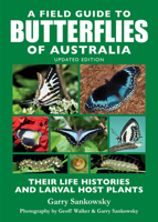 A Field Guide to Butterflies of Australia: Their Life Histories and Larval Host Plants 1760796883 Book Cover