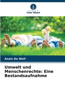 Umwelt und Menschenrechte: Eine Bestandsaufnahme 6206018873 Book Cover