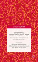 Economic Integration in Asia: Towards the Delineation of a Sustainable Path 1137432926 Book Cover