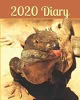 2020 Diary: Weekly Planner & Monthly Calendar - Journal, Iguana, Wildlife 2020, Wild Animals 2020, - 8x10 1692646818 Book Cover