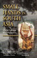 Small Hands in South Asia: Child Labour in Perspective 8173045313 Book Cover
