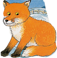 Pocket Fox (Pocket Pals Board Books) 0859539121 Book Cover