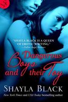 Dangerous Boys and Their Toy 141995850X Book Cover