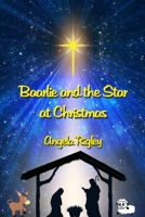 Baarlie and the Star 1689183845 Book Cover