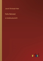 Felix Notvest: in Großdruckschrift 3368477706 Book Cover