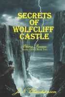 Secrets of Wolfcliff Castle: Elusive Princess (Secret Castles) B0FCMDXYGD Book Cover