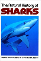 The Natural History of Sharks 080520766X Book Cover