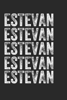 Name ESTEVAN Journal Customized Gift For ESTEVAN A beautiful personalized: Lined Notebook / Journal Gift, Notebook for ESTEVAN,120 Pages, 6 x 9 inches ... Family Notebook,Customized Journal, T 1677982012 Book Cover