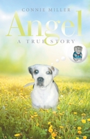 ANGEL: A True Story 1663237611 Book Cover