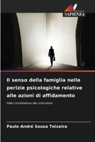 Il senso della famiglia nelle perizie psicologiche relative alle azioni di affidamento (Italian Edition) 6209466869 Book Cover