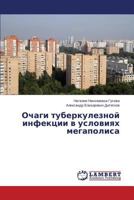 Ochagi Tuberkuleznoy Infektsii V Usloviyakh Megapolisa 365919736X Book Cover