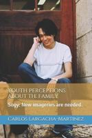 Youth Perceptions about the Family: Sogy: New imageries are needed. 1792620446 Book Cover