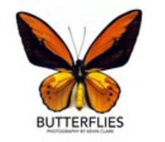 Butterflies 1367874289 Book Cover