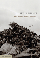 Down in the Dumps: Place, Modernity, American Depression 0822336669 Book Cover